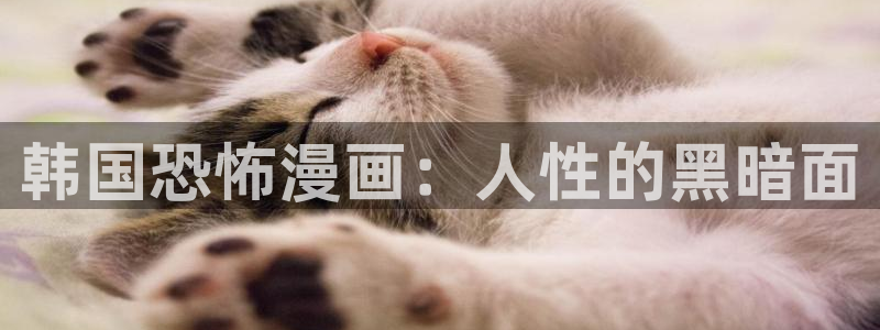看漫漫漫画