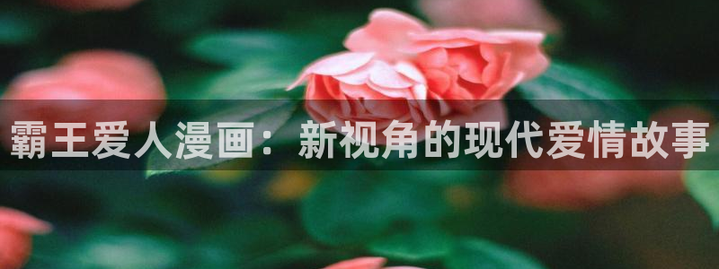 漫漫漫画下载