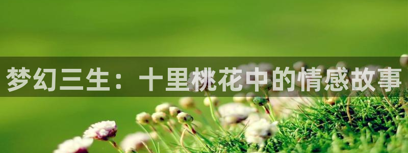 漫漫漫漫画免费版在线阅读