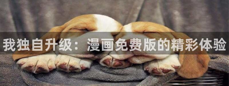 看漫漫漫画